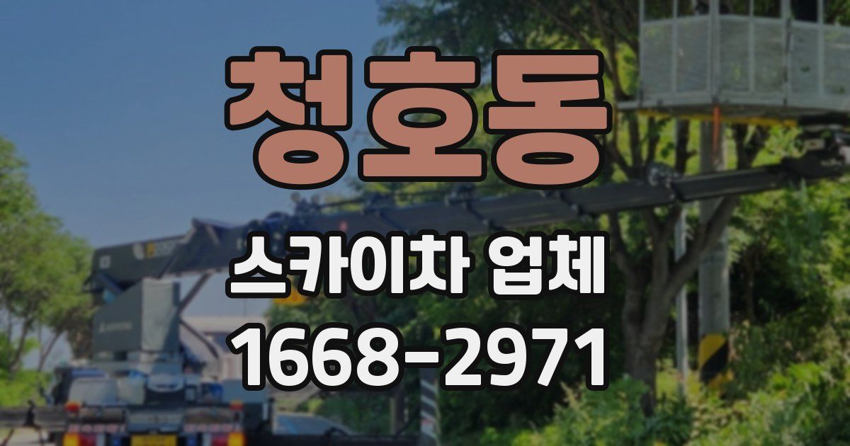 청호동 스카이차 업체