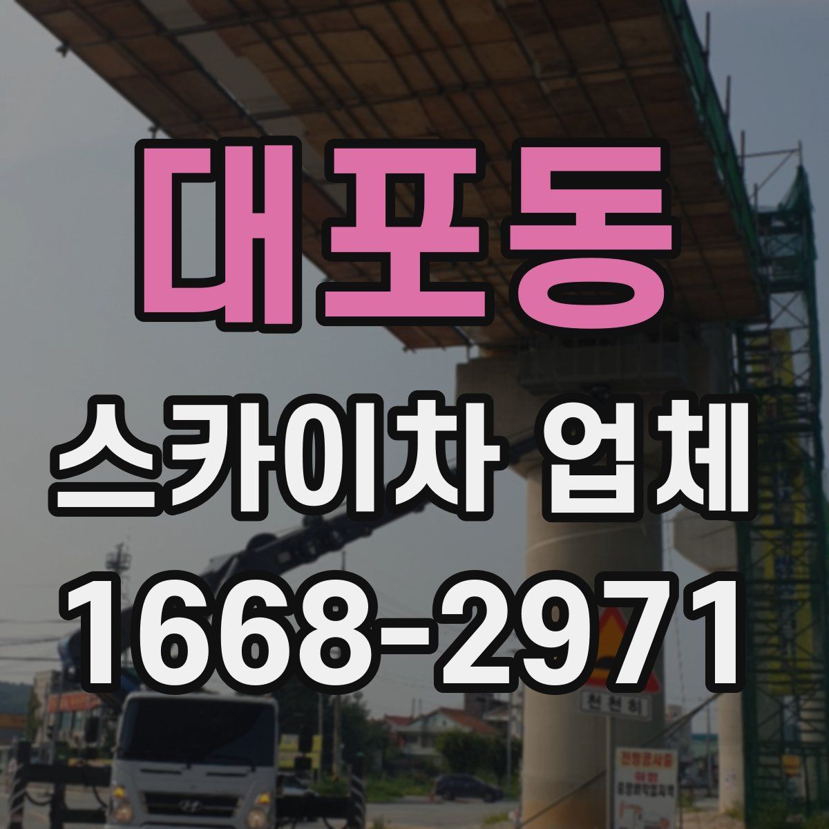 대포동 스카이차 업체