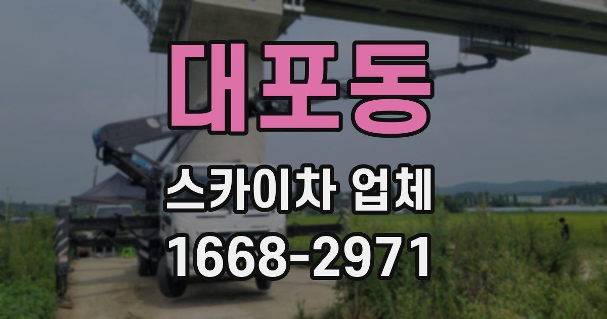 대포동 스카이차 업체
