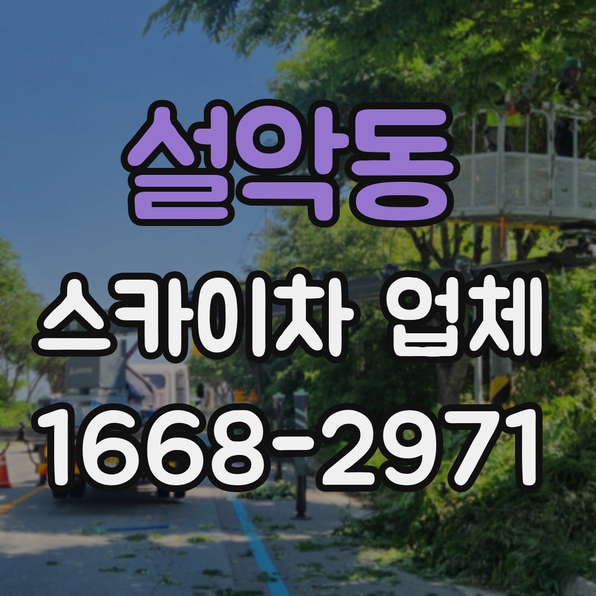 설악동 스카이차 업체