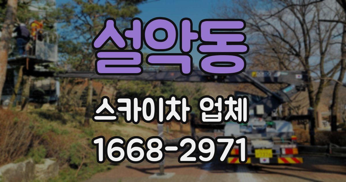 설악동 스카이차 업체