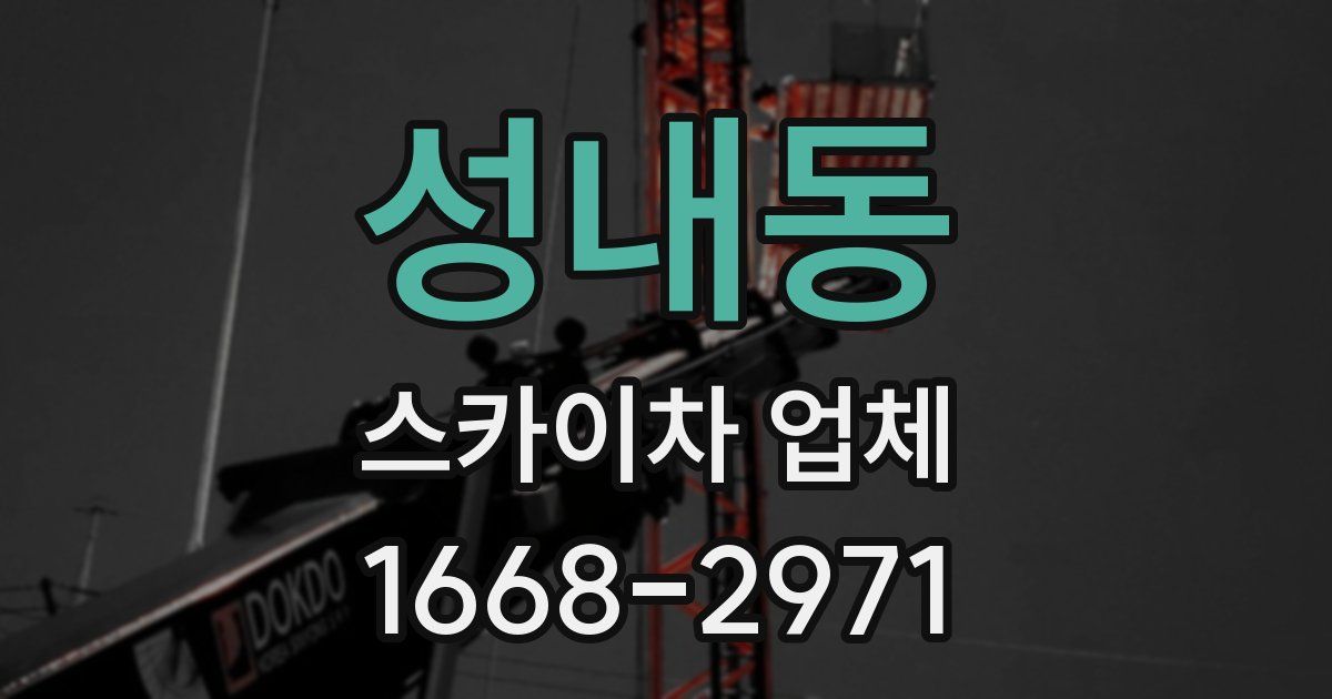 성내동 스카이차 업체