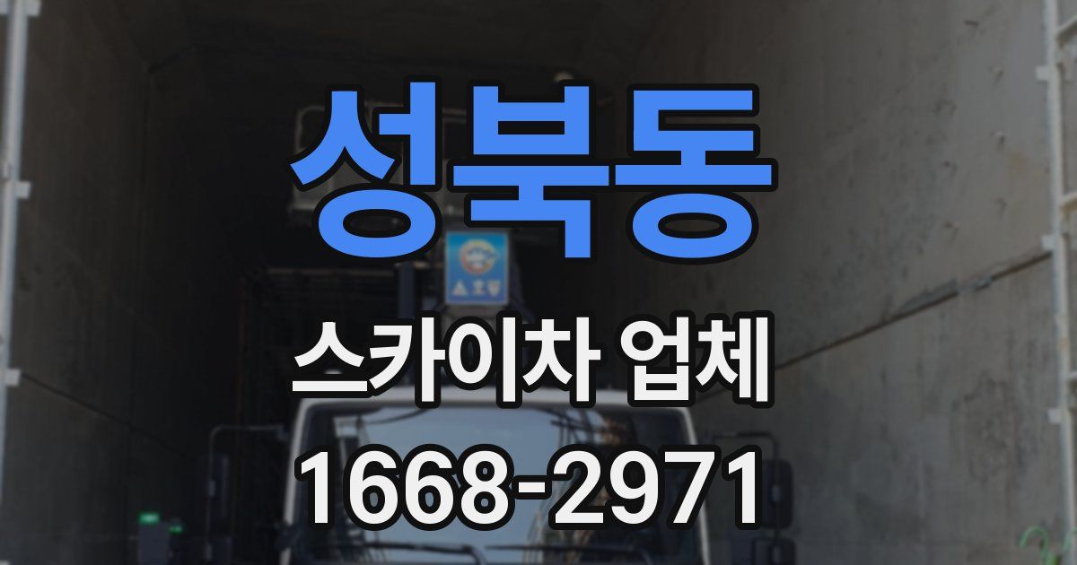 성북동 스카이차 업체