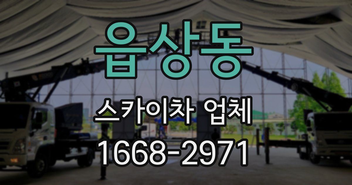 읍상동 스카이차 업체