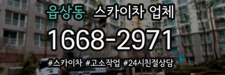 읍상동 스카이차 업체