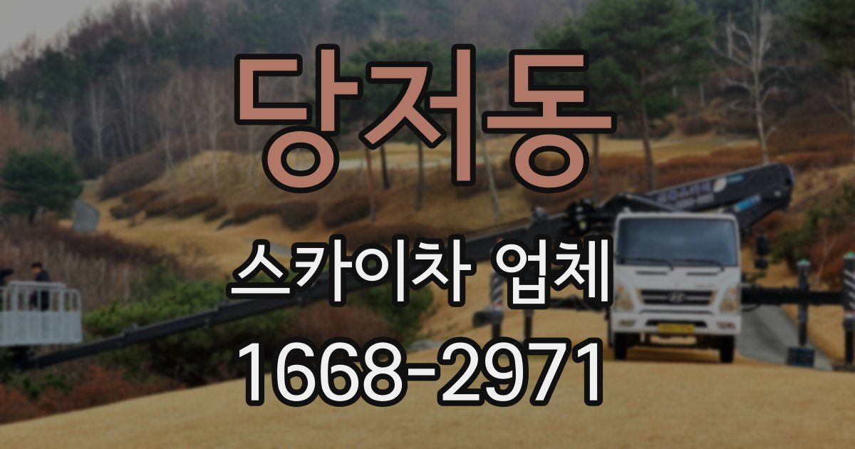 당저동 스카이차 업체