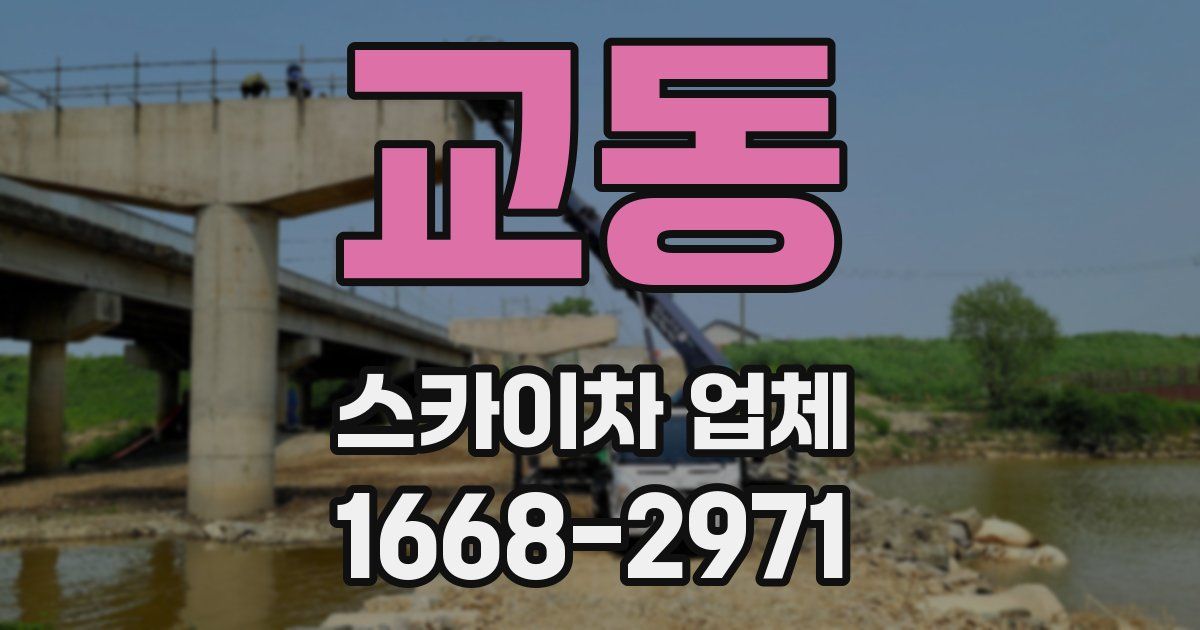 교동 스카이차 업체