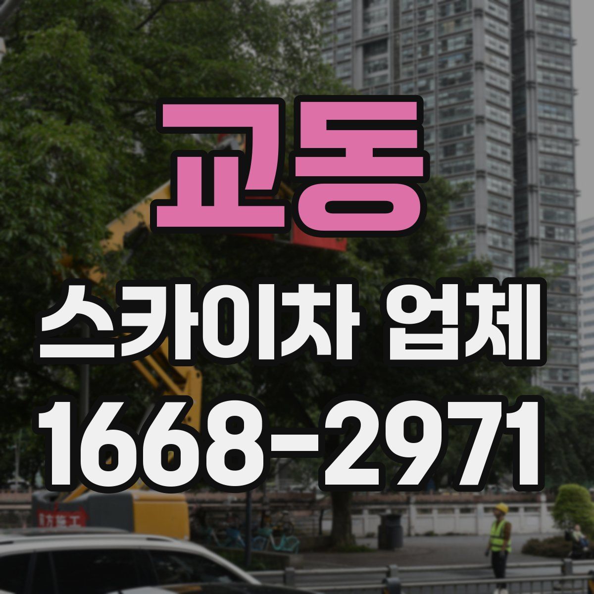 교동 스카이차 업체