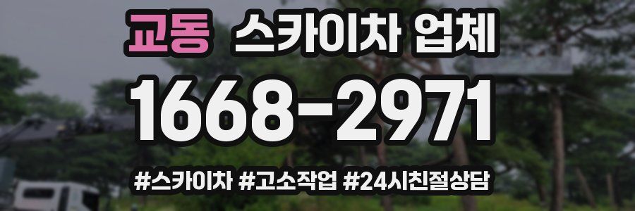 교동 스카이차 업체