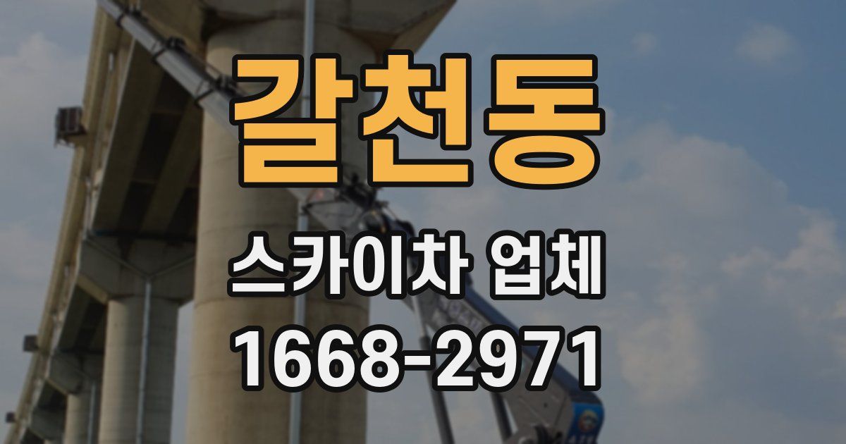 갈천동 스카이차 업체