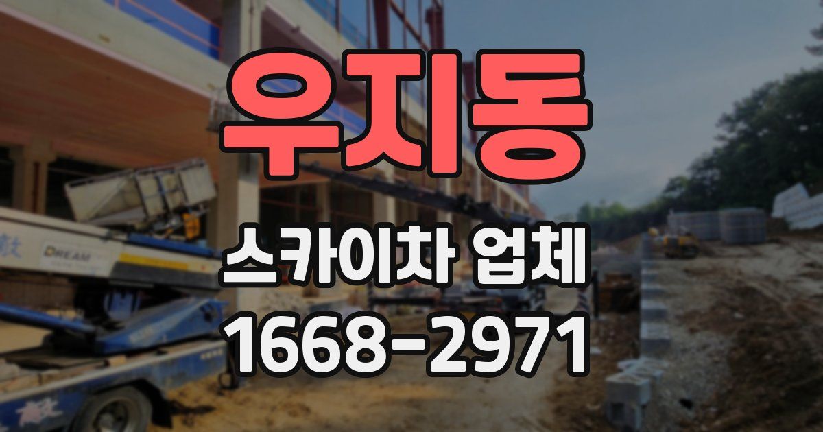우지동 스카이차 업체