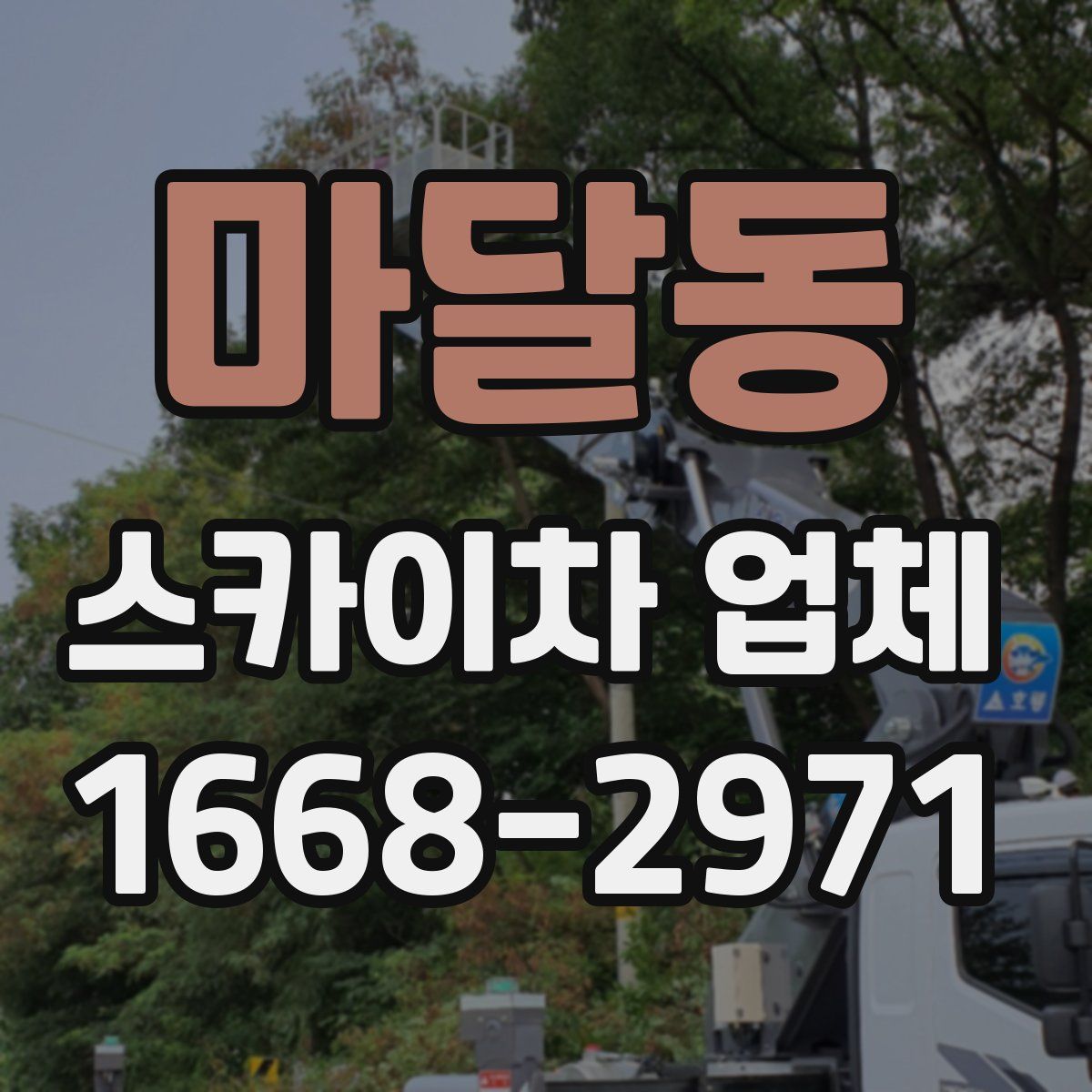 마달동 스카이차 업체