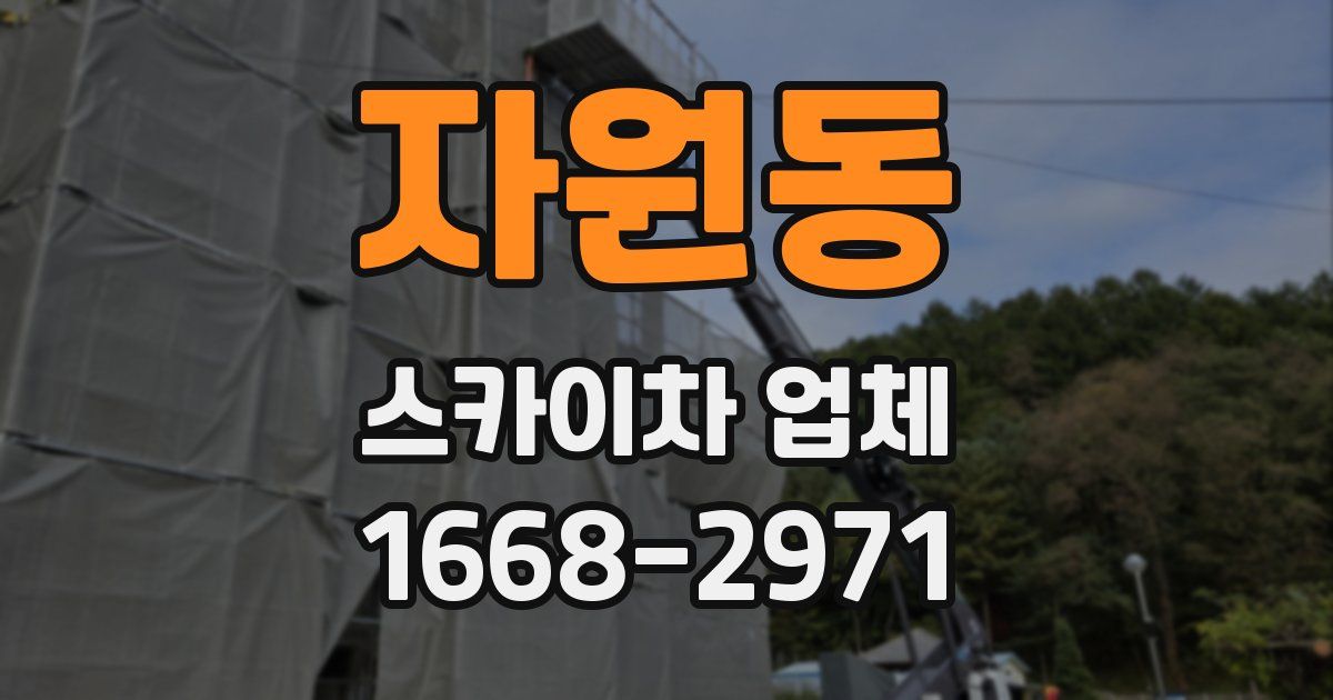 자원동 스카이차 업체