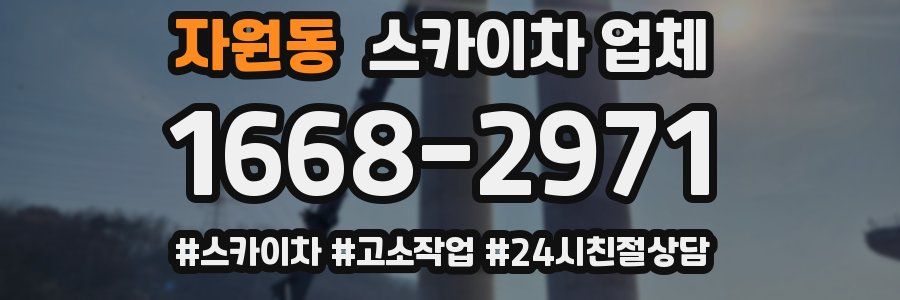 자원동 스카이차 업체