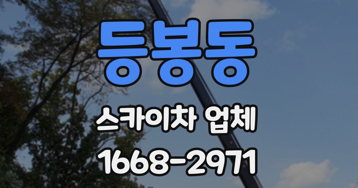 등봉동 스카이차 업체