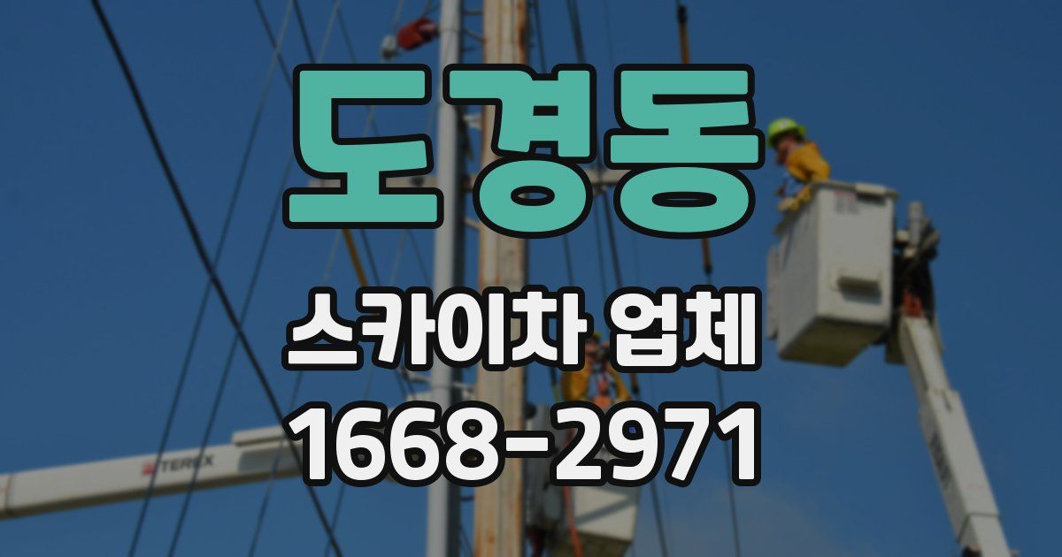 도경동 스카이차 업체