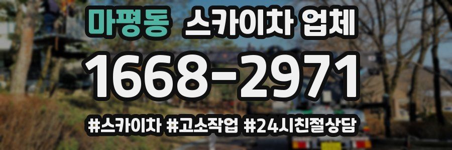 마평동 스카이차 업체