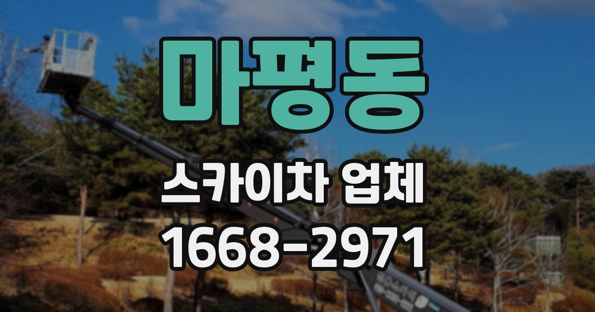 마평동 스카이차 업체