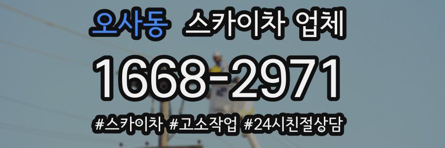 오사동 스카이차 업체