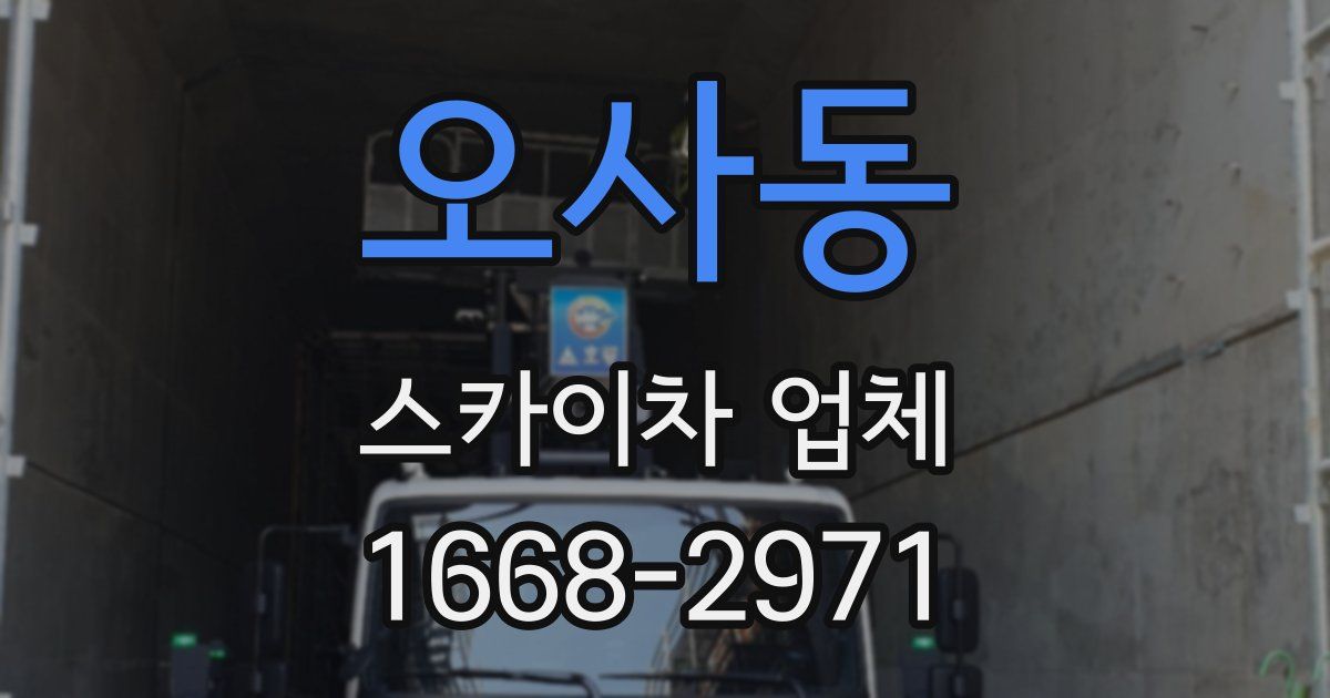 오사동 스카이차 업체