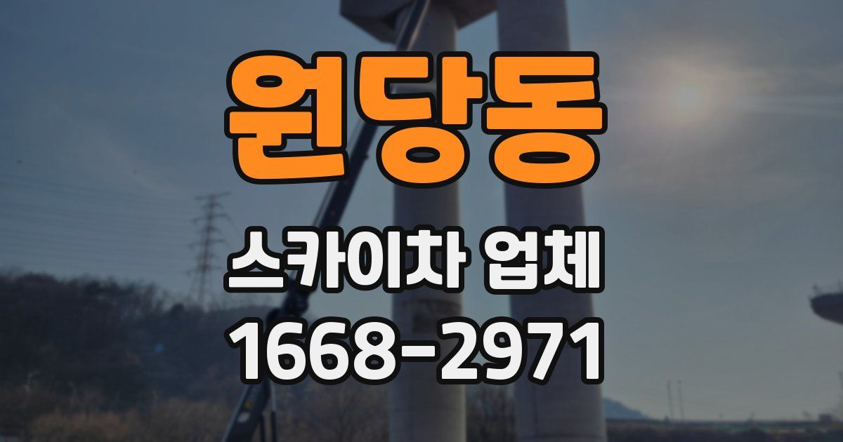 원당동 스카이차 업체