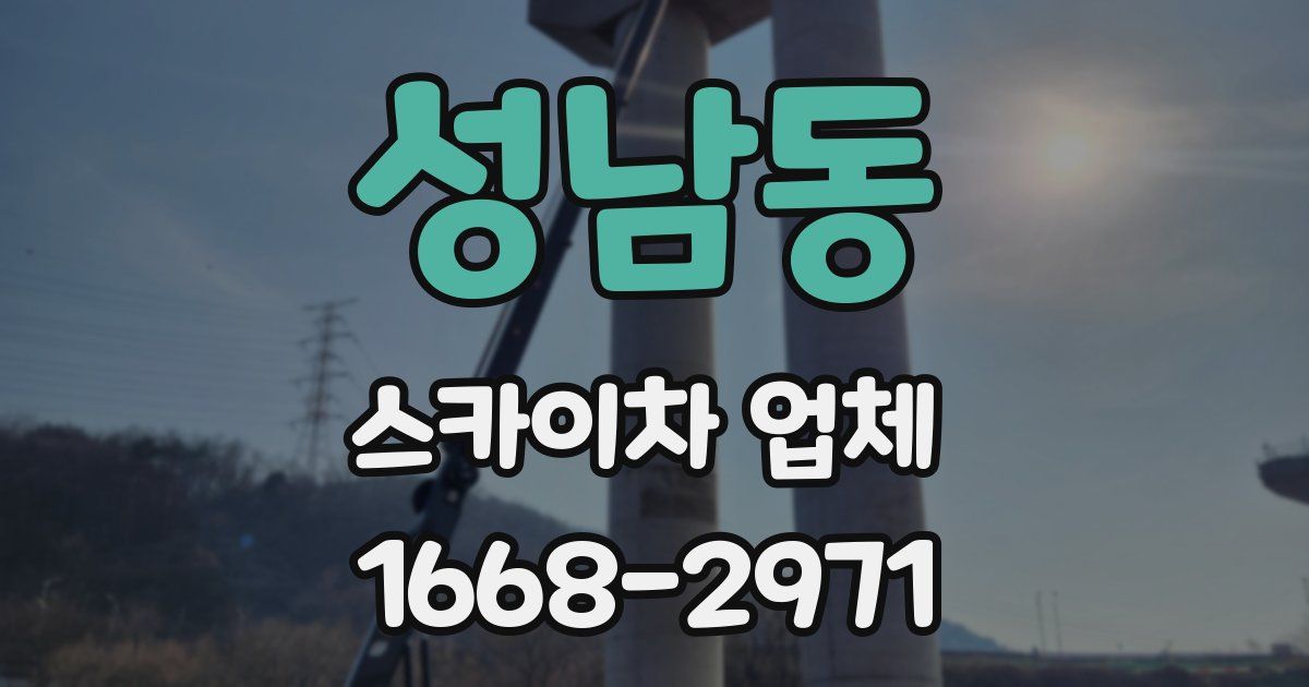 성남동 스카이차 업체