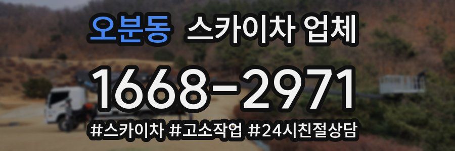 오분동 스카이차 업체