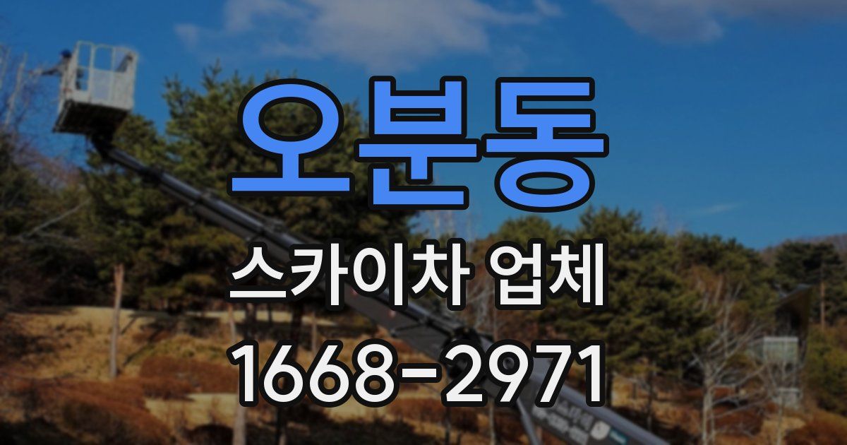 오분동 스카이차 업체