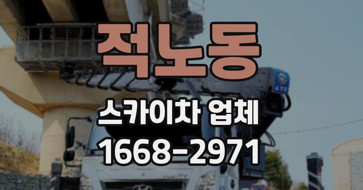 적노동 스카이차 업체