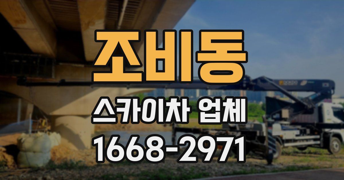 조비동 스카이차 업체