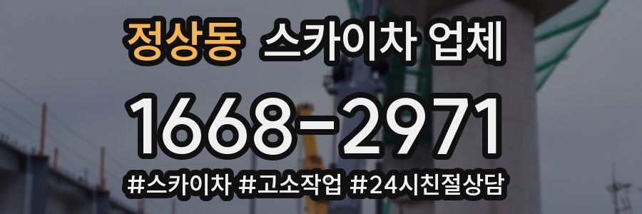 정상동 스카이차 업체