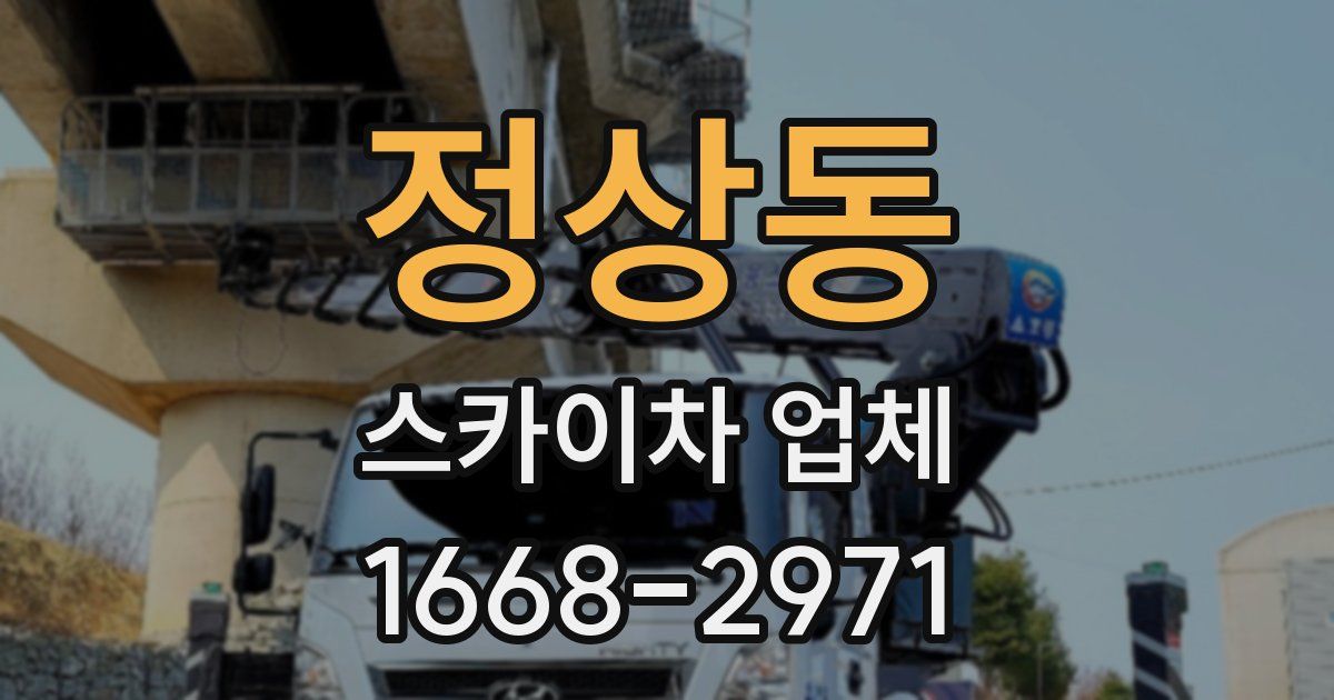정상동 스카이차 업체