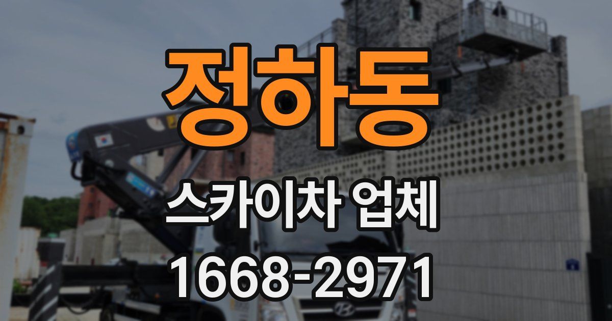 정하동 스카이차 업체