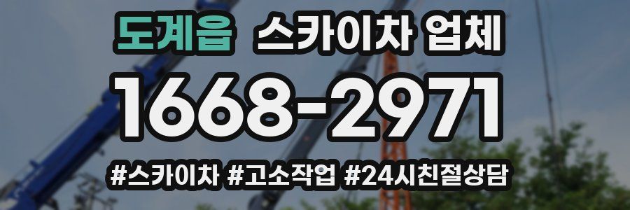 도계읍 스카이차 업체