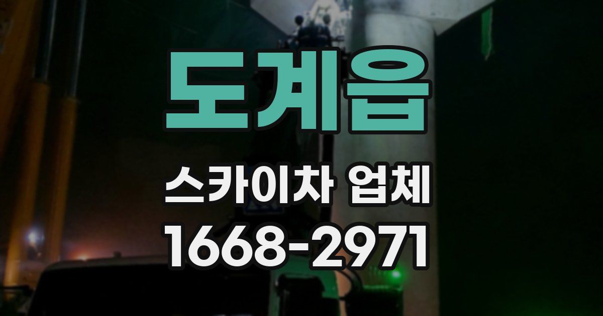 도계읍 스카이차 업체