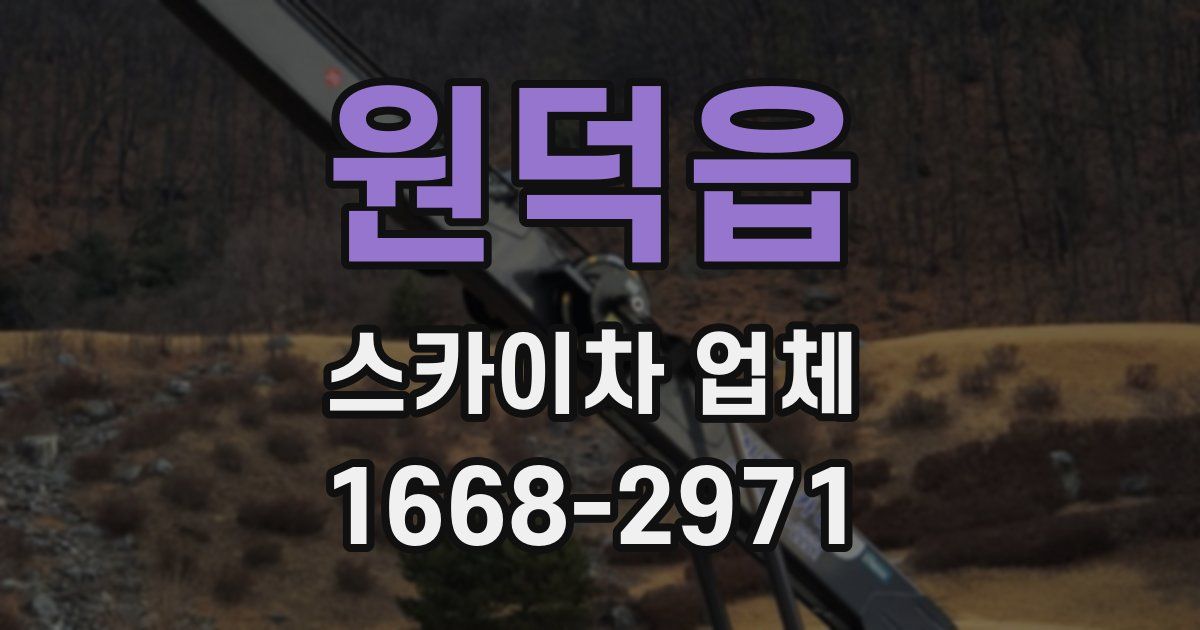 원덕읍 스카이차 업체