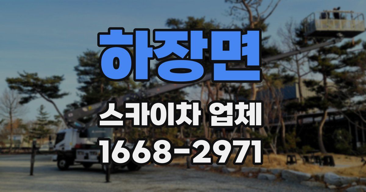 하장면 스카이차 업체