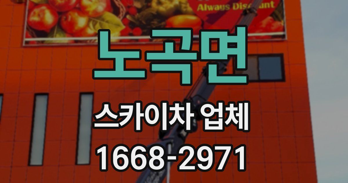 노곡면 스카이차 업체