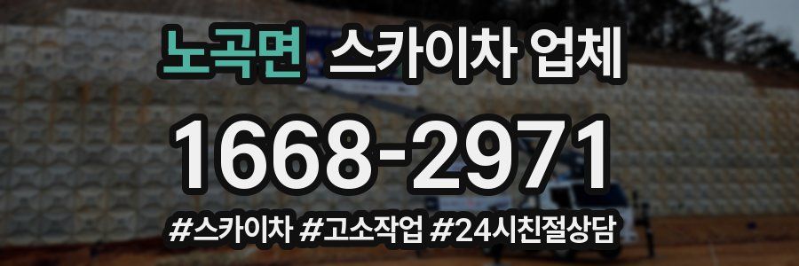노곡면 스카이차 업체