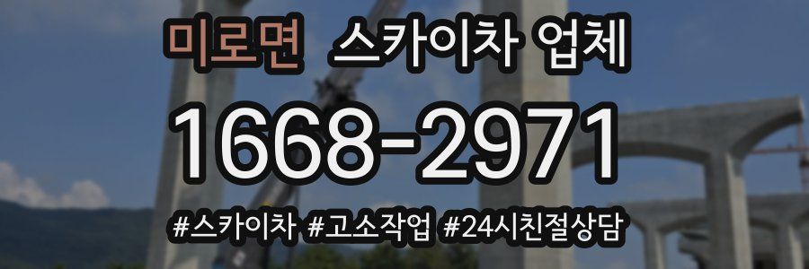 미로면 스카이차 업체