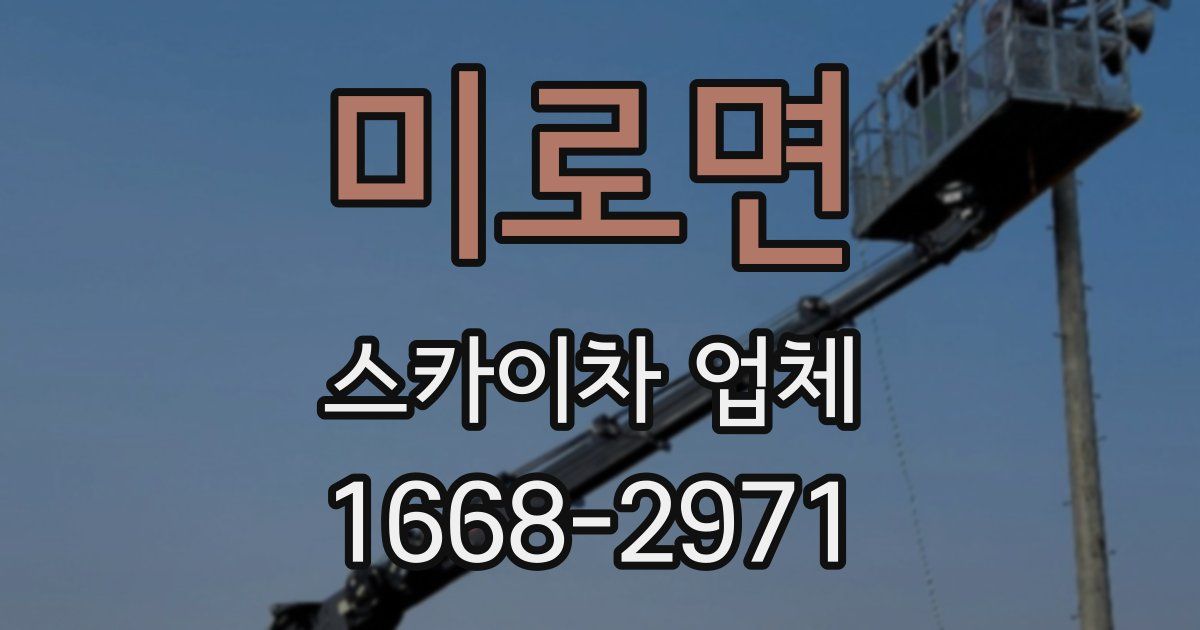 미로면 스카이차 업체