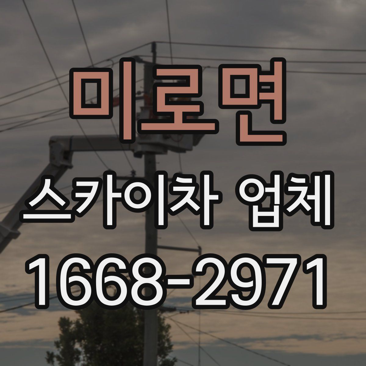 미로면 스카이차 업체