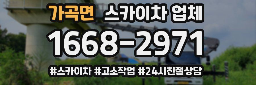 가곡면 스카이차 업체
