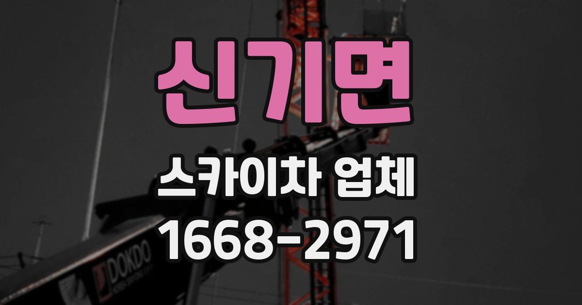 신기면 스카이차 업체
