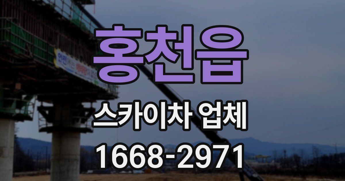 홍천읍 스카이차 업체