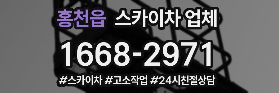 홍천읍 스카이차 업체