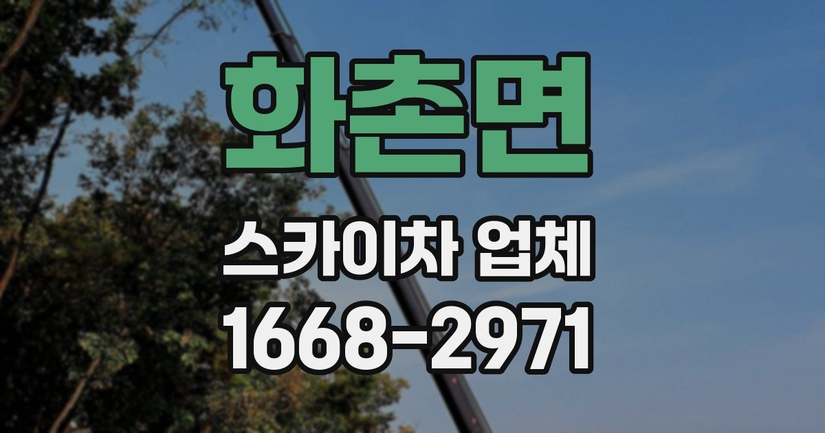 화촌면 스카이차 업체