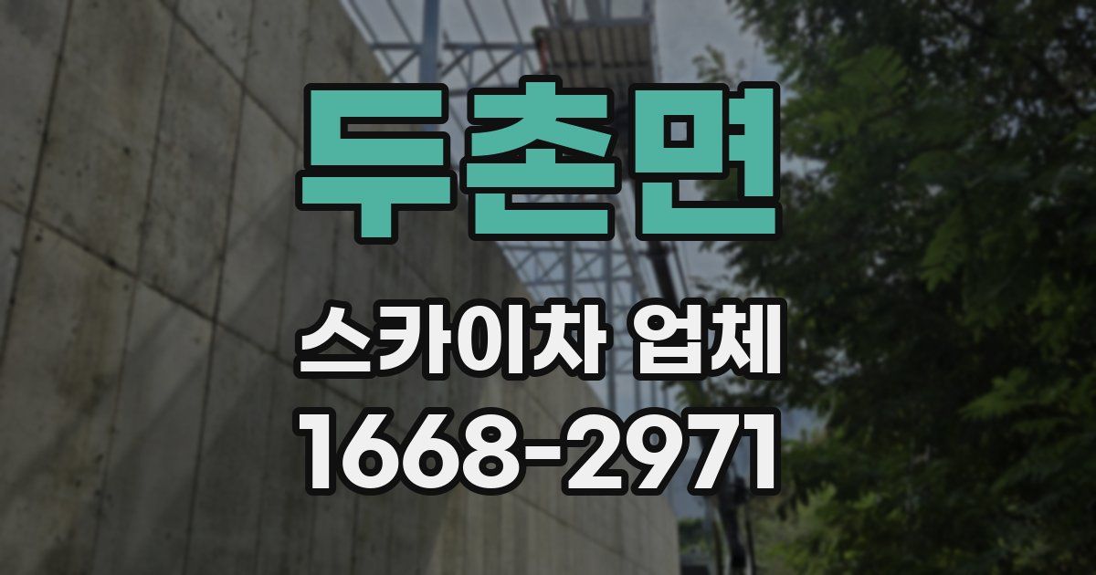 두촌면 스카이차 업체