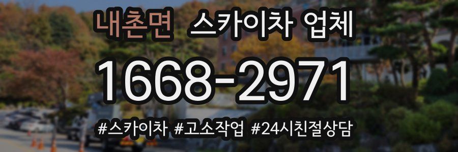내촌면 스카이차 업체
