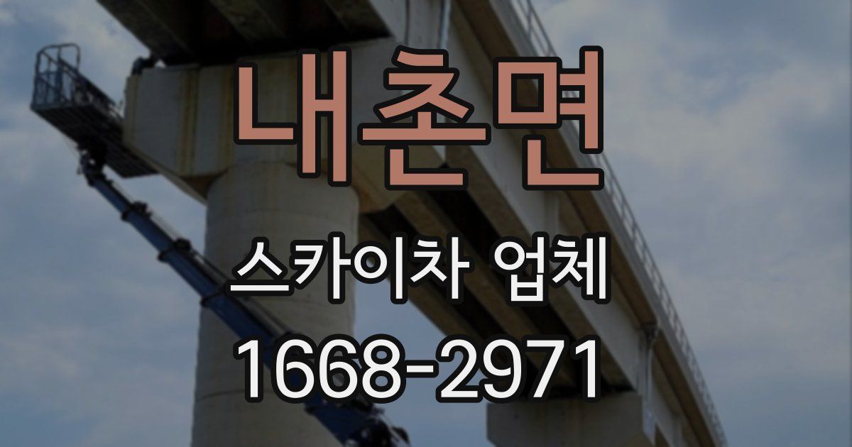 내촌면 스카이차 업체